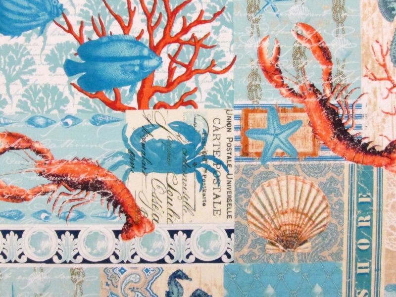 Cotton Broadcloth Print0