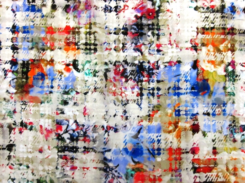 Printed Silk Charmeuse0