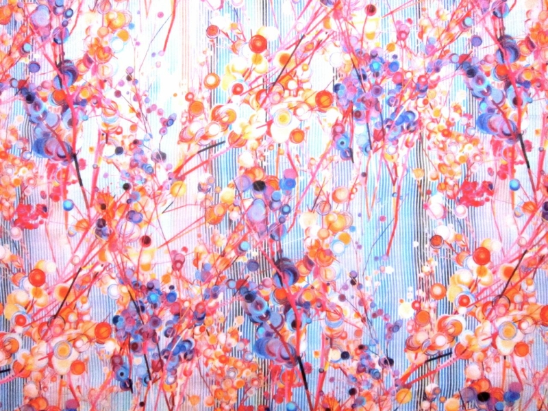 Printed Silk Chiffon0