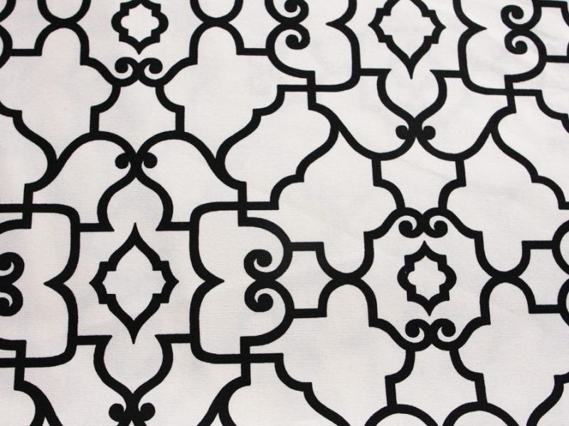 Printed Cotton Canvas0