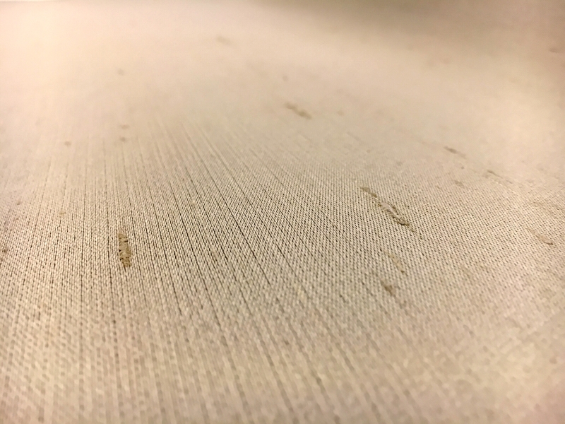 Novelty Couture Silk Gazar Shantung in Tan0