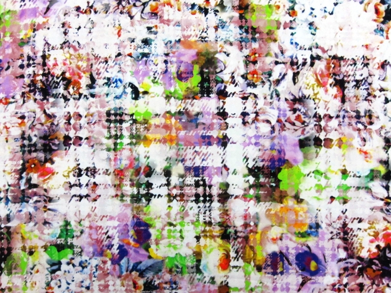 Printed Silk Charmeuse0