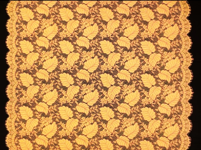 Corded Chantilly Lace3