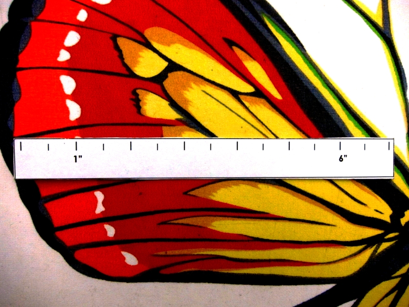 Silk Chiffon in Butterfly Print1