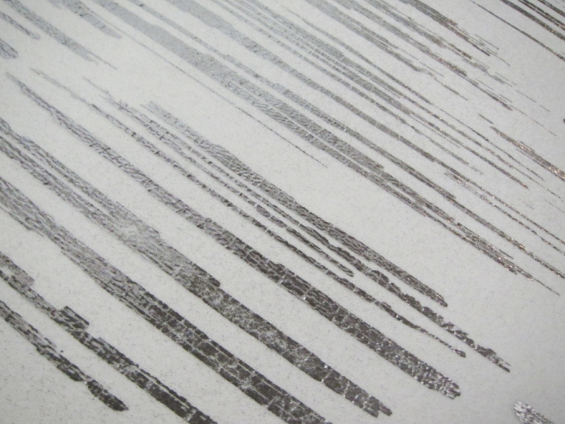 Polyester Viscose Foil Print Novelty2