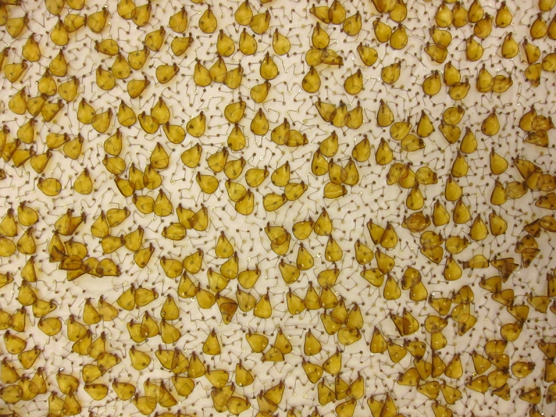 Beaded Tulle with Novelty Paillettes1