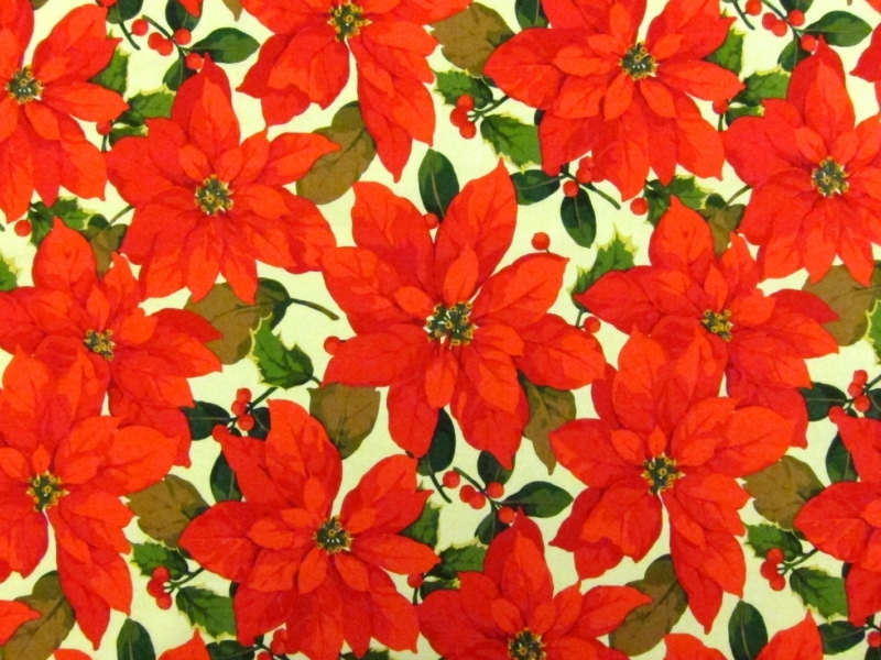 Cotton Broadcloth Print0