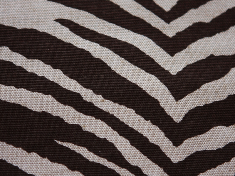 Printed Cotton Rayon Canvas2