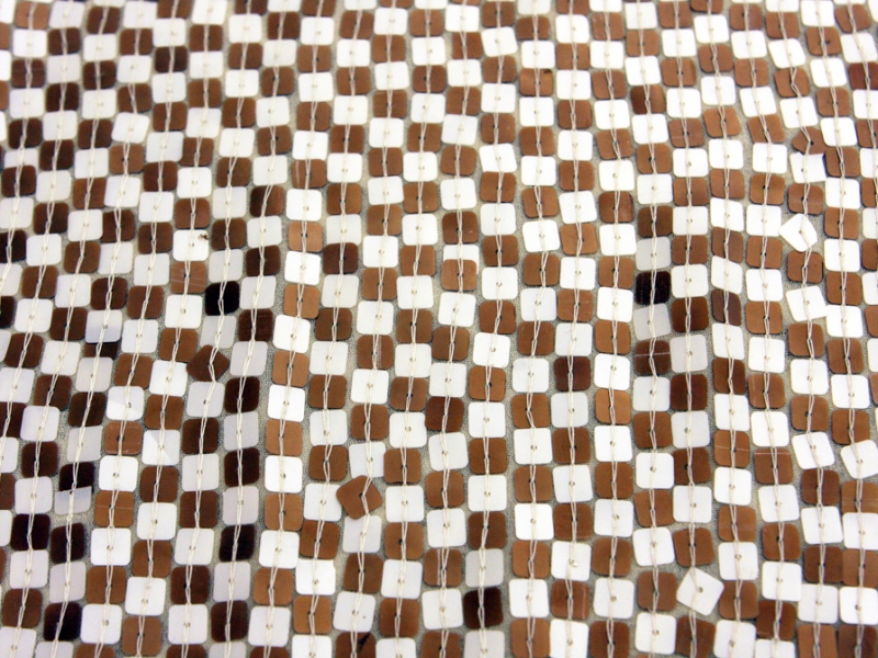 Sequins on SIlk Chiffon0