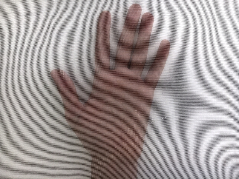 Italian Nylon Blend Mesh in Black Transparent2