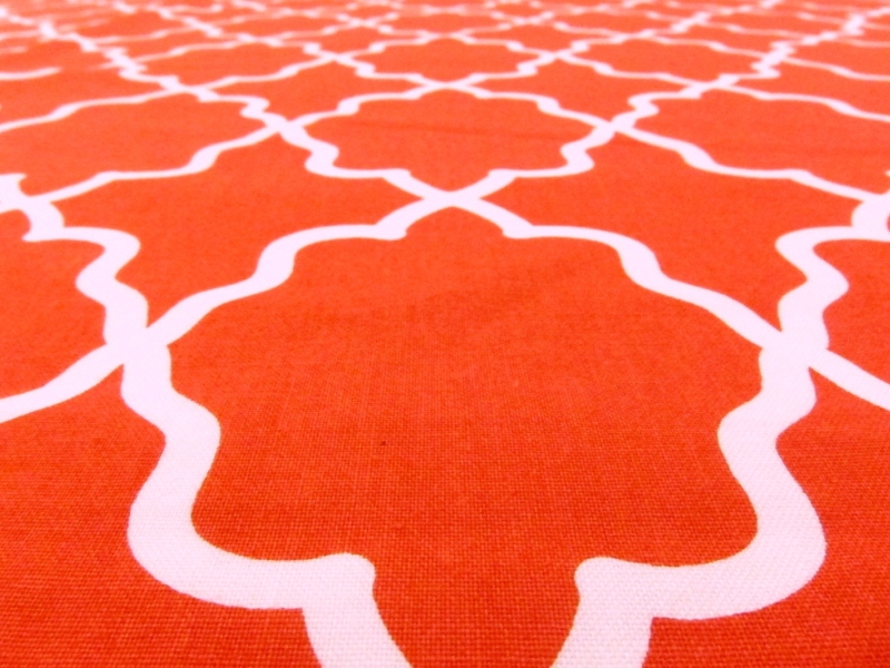 Cotton Broadcloth Print2