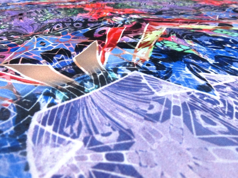 Printed Silk Chiffon2