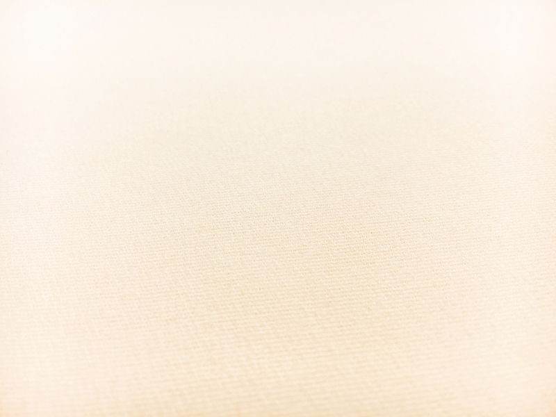 Italian Silk Marocain Crepe in Ivory1