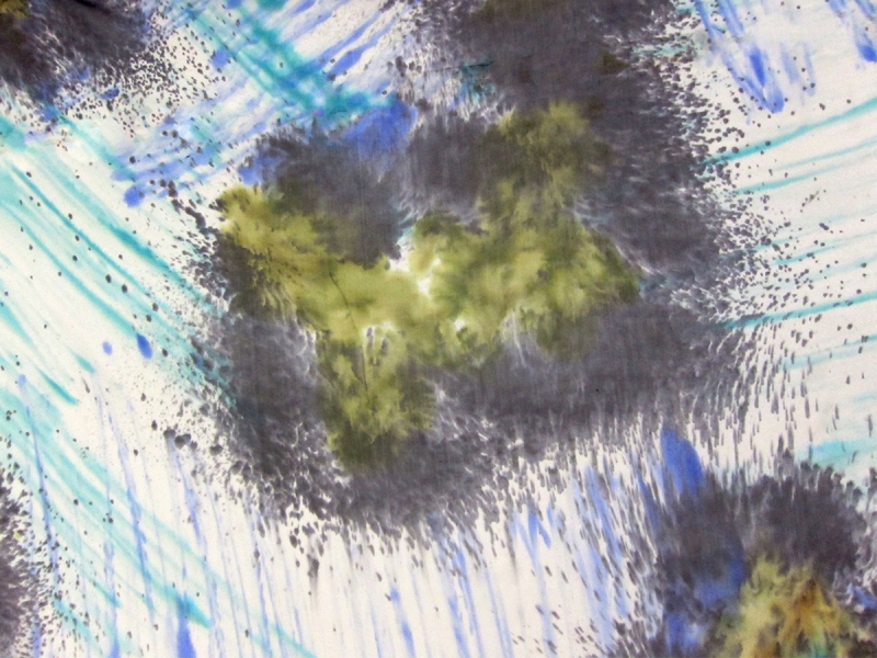 Printed Silk Chiffon0