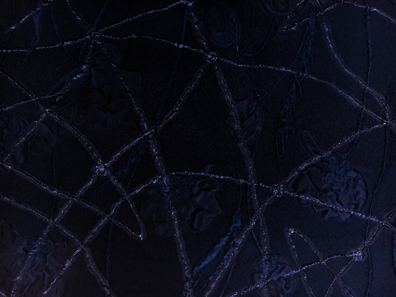 Silk Blend Metallic Organza with Abstract Lines and Floral Motifs0