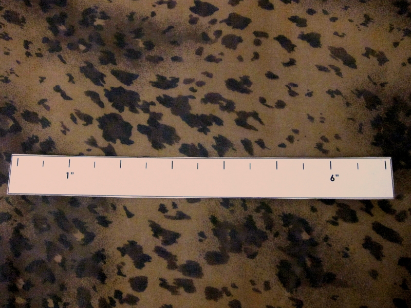 Printed Silk Chiffon1