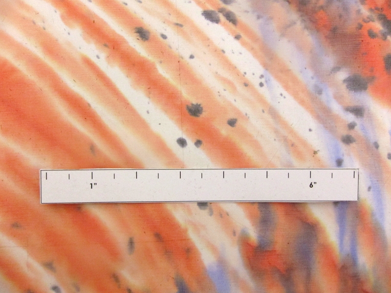 Printed Silk Chiffon2