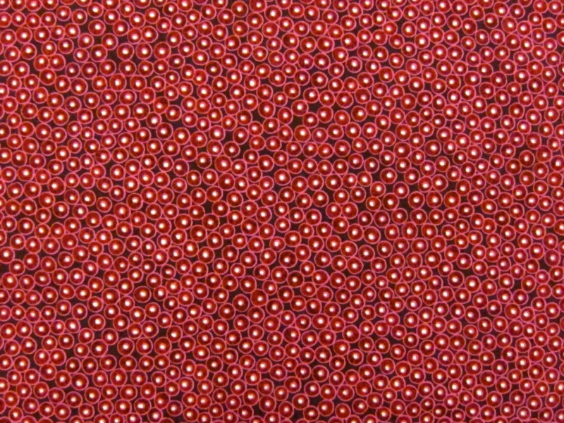 Cotton Broadcloth Print0