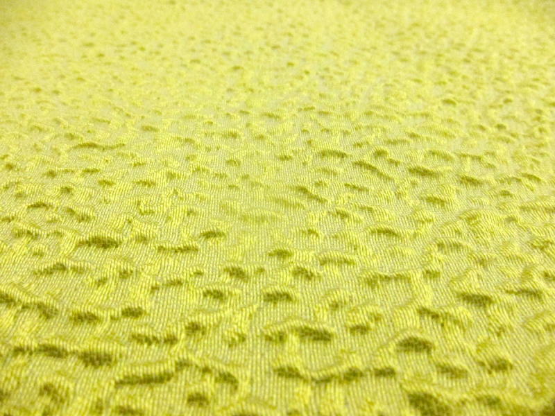 Silk Blend Organza Cloqué0