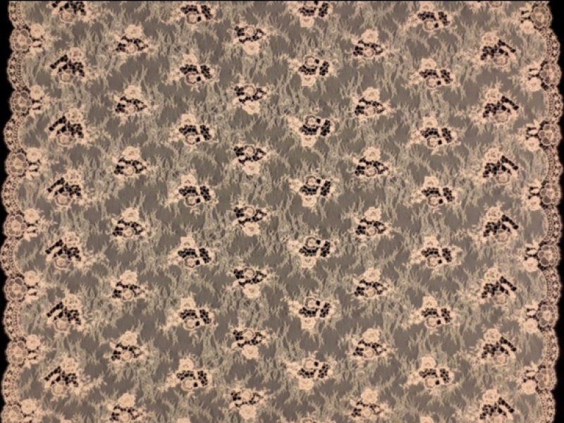 Embroidered Chantilly Lace3