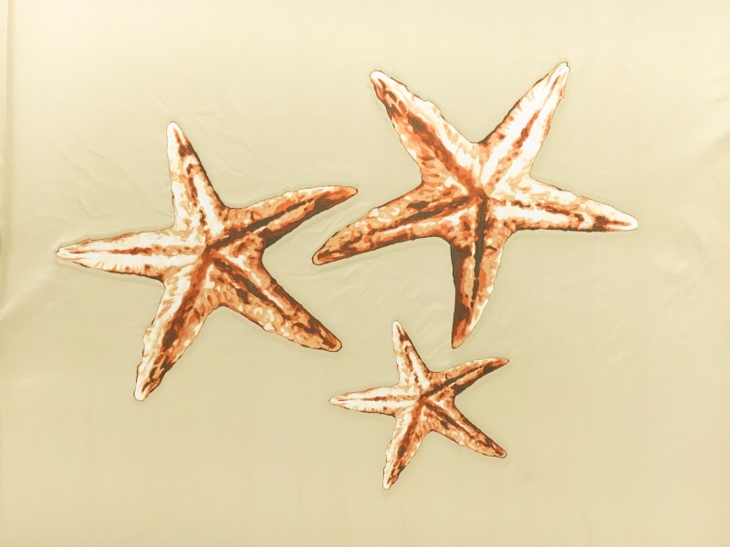 Valentino Silk Blend Zibelline Starfish Panel0