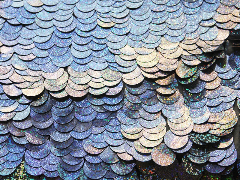 Paillettes on Silk Chiffon0