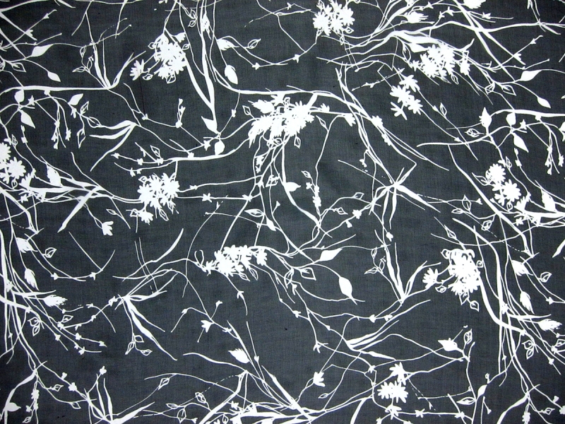 Printed Silk Chiffon0