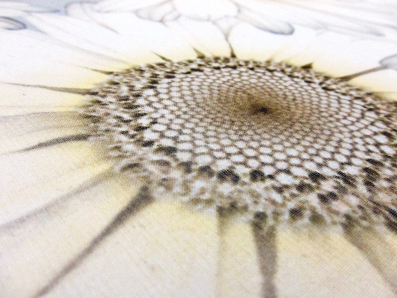 Printed Silk Chiffon2