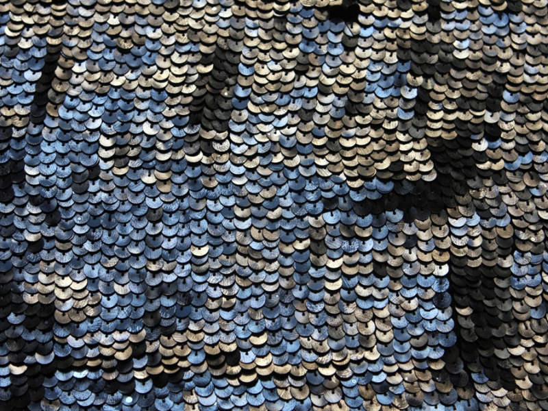 Sequins on Silk Chiffon0