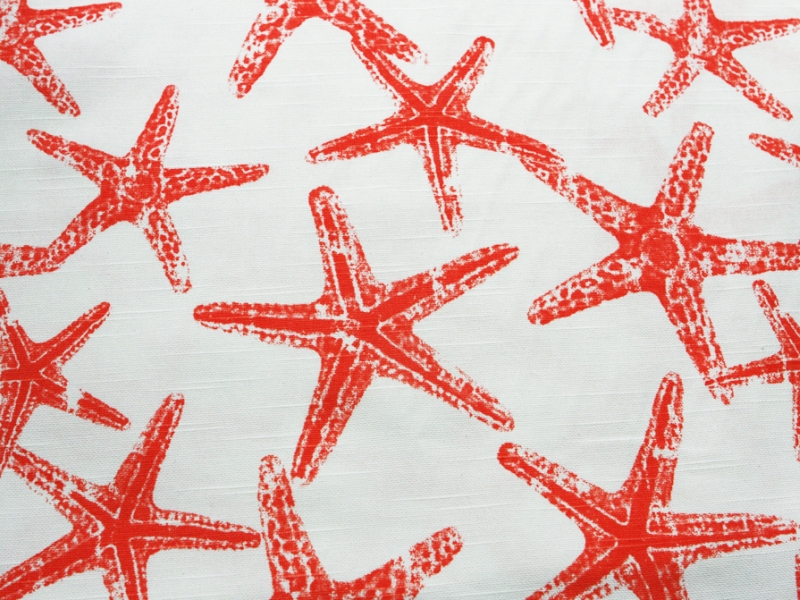 Cotton Canvas Starfish Print0