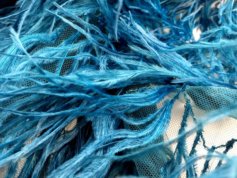 Ostrich Feather Trimmed Illusion 2