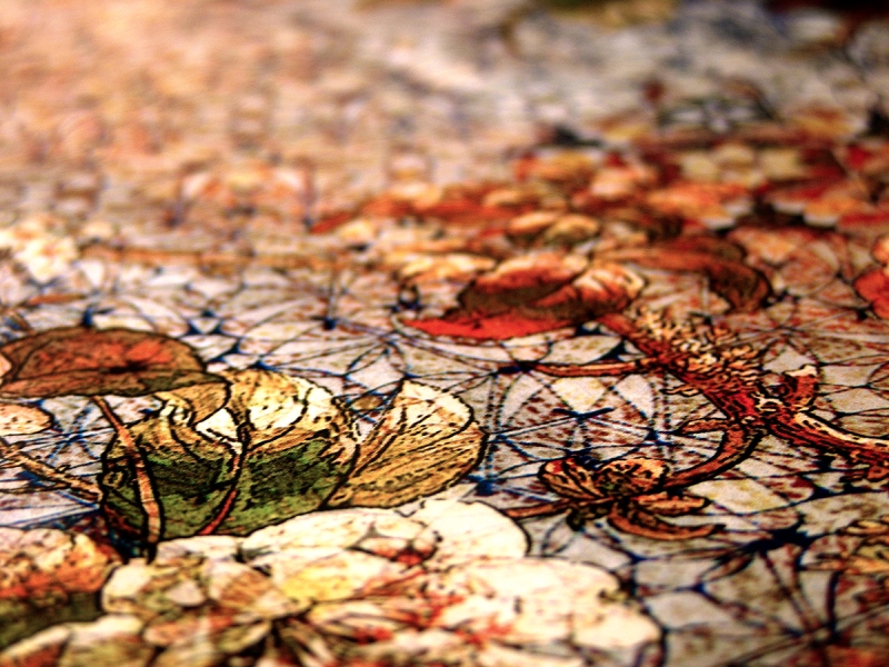 Printed Silk Charmeuse2