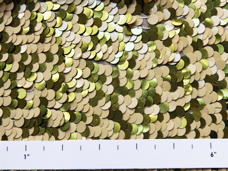 Paillettes on Silk Chiffon2