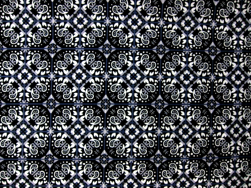 Cotton Lycra Sateen Print 0