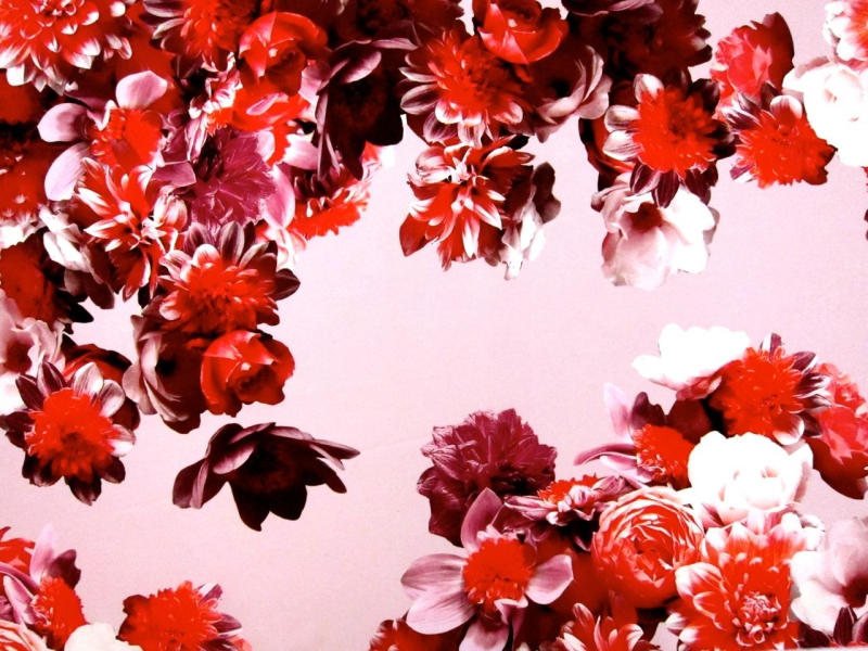 Printed Silk Mikado0