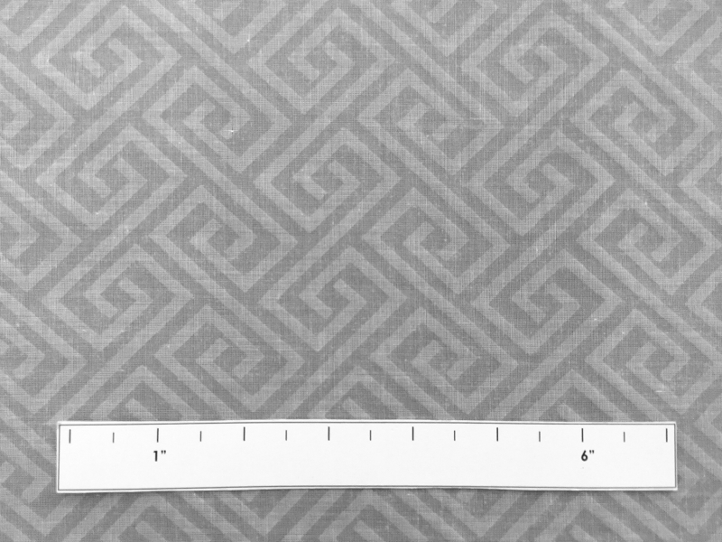 Swiss Cotton Organdy Novelty with Art Deco Pattern1