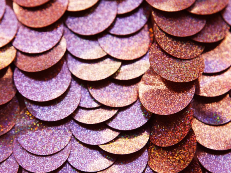 Pailettes on Silk Chiffon3