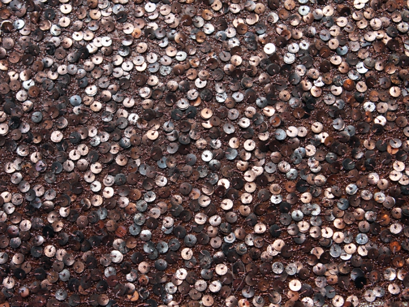 Sequins on Metallic Tulle0