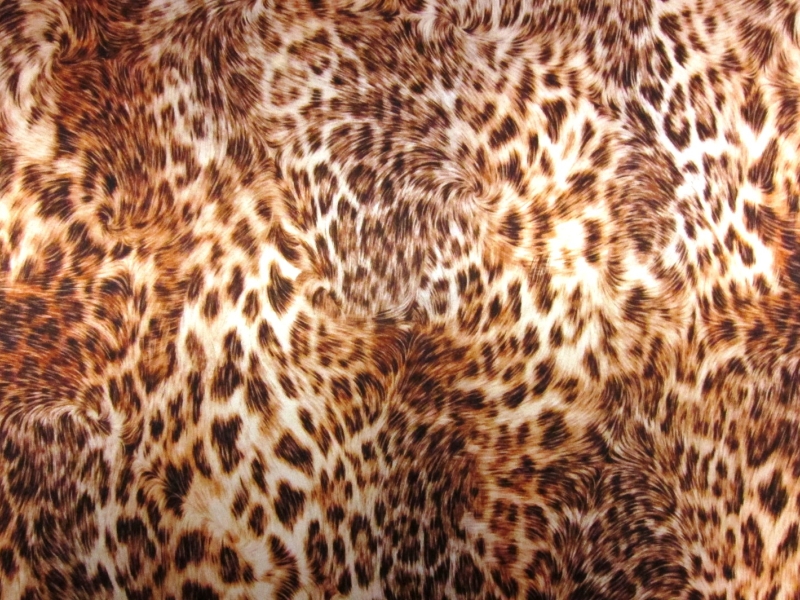 Printed Silk Charmeuse0