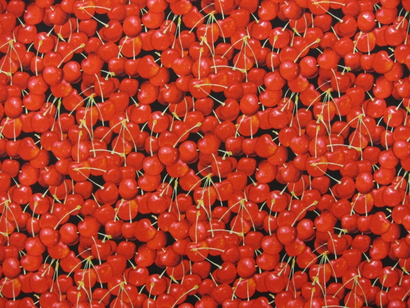 Cotton Broadcloth Print0