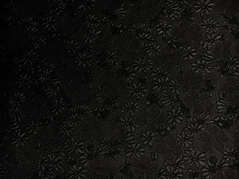 Metallic Organza Cloqué with Hibiscus and Daisies in Black0