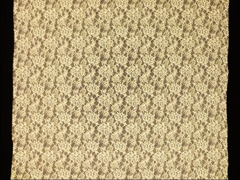 Stretch Chantilly Lace3
