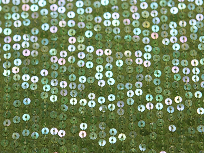 Sequins on Silk Chiffon2