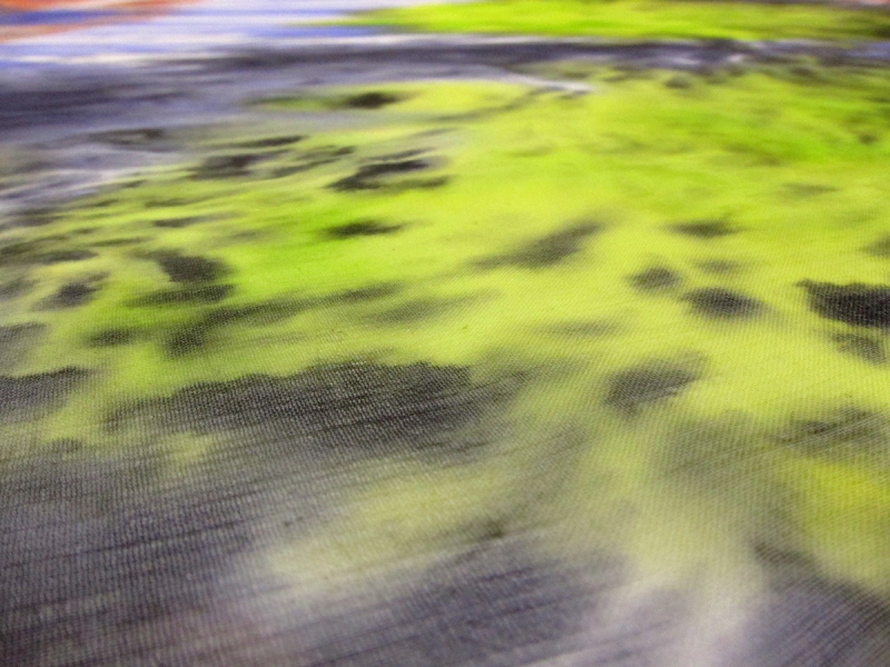 Printed Silk Chiffon1