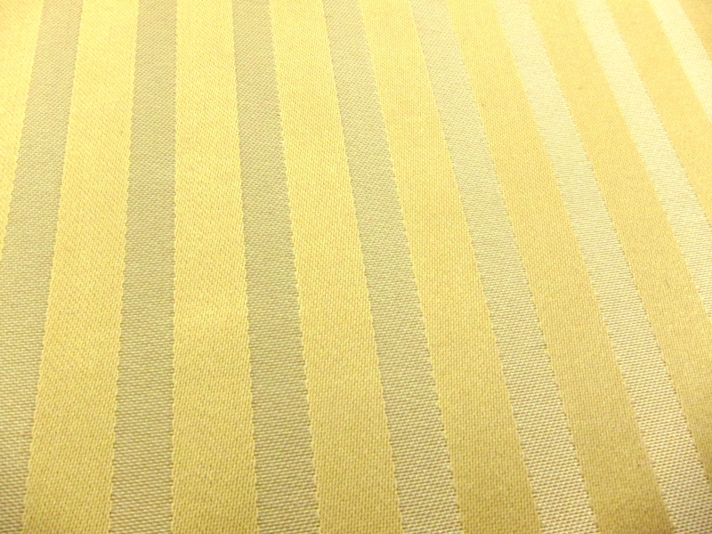 Silk Stripe Brocade2