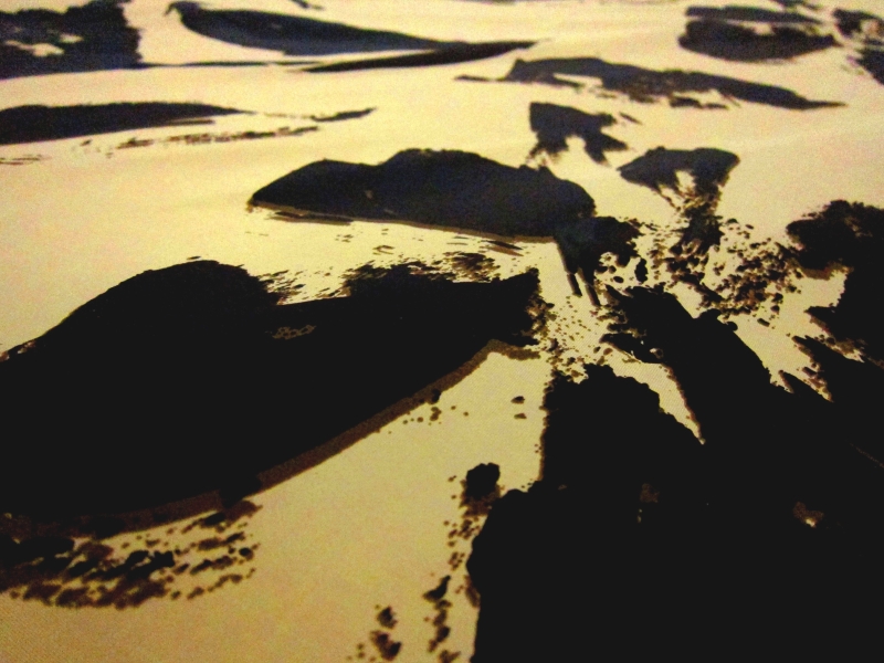 Printed Silk Taffeta2