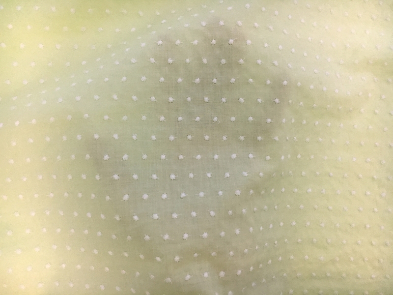 Cotton Embroidered Dots in Spring Bud2