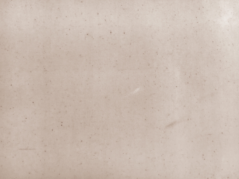 10.10oz Cotton Wax Cloth in Natural1