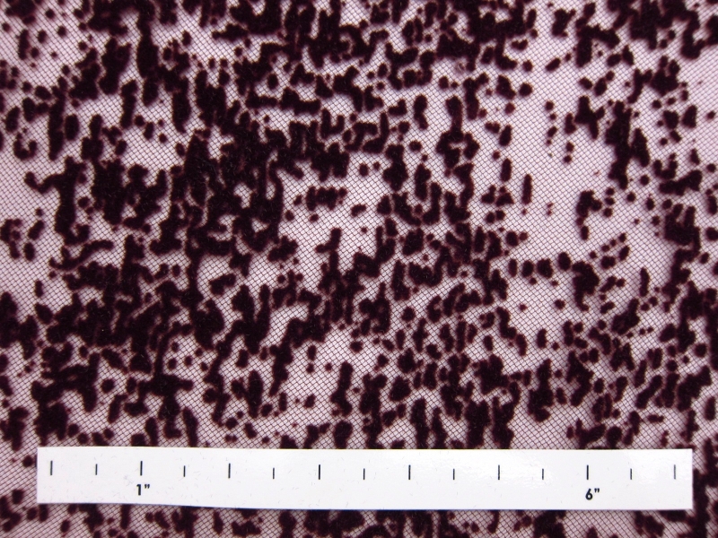 Flocked Tulle (in Burgundy)1