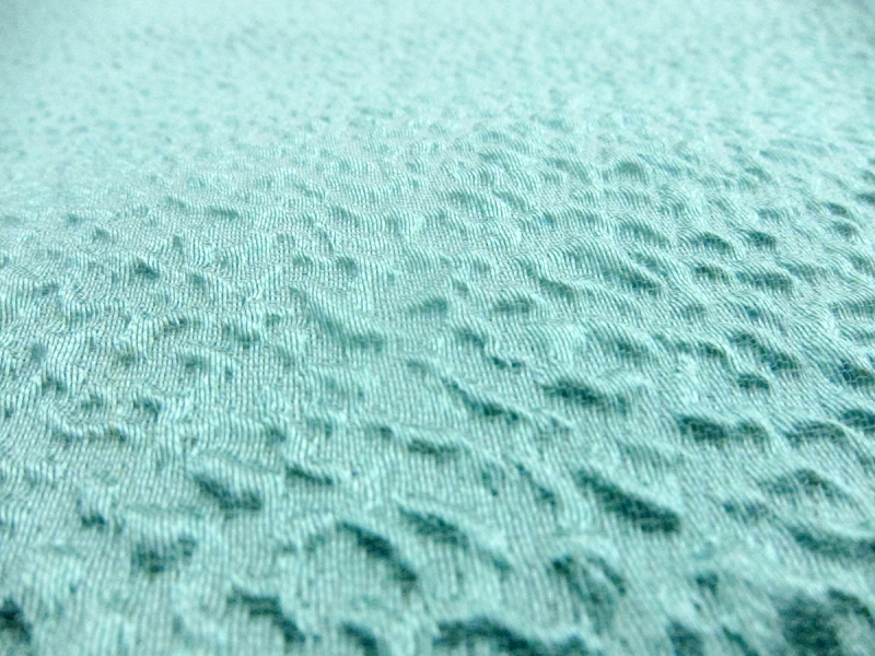 Silk Blend Organza Cloqué0